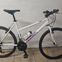 Bicicletta Mountain Bike