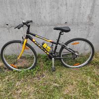 Bicicletta Mountain bike