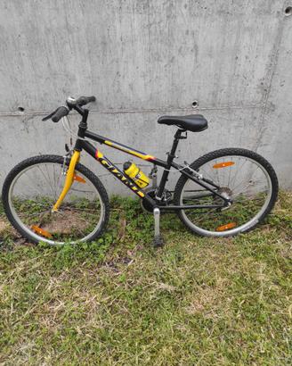 Bicicletta Mountain bike