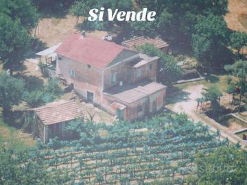 Casa più terreno