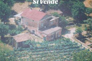 Casa più terreno