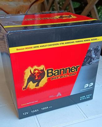 Batteria Banner 12V