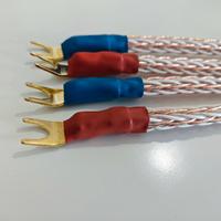 Ponticelli Kimber Kable 8 TC by Salaantonio