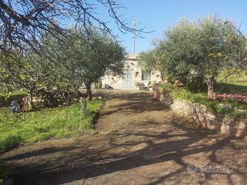 Rustico e terreno