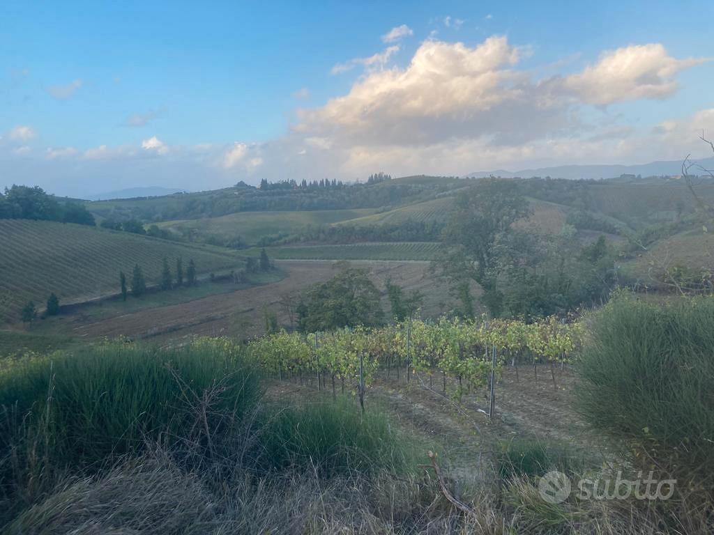 Azienda agricola 20Ha - Vista 3