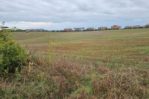 LOTTI DI TERRENO AGRICOLO