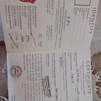 Pattini Edea Ritmo 270