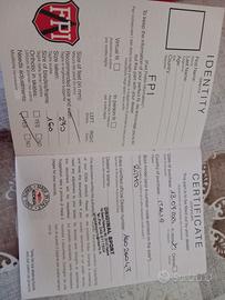 Pattini Edea Ritmo 270