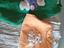 Immagine 5