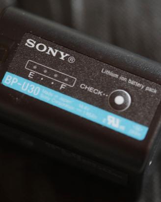 batteria Sony BP U 30