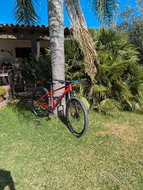 bici Scott aspect 960