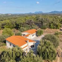 Olbia | Tenuta panoramica con ampio terreno e uliv