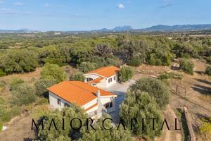 Olbia | Tenuta panoramica con ampio terreno e uliv