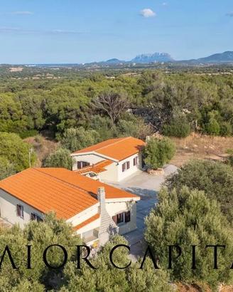 Olbia | Tenuta panoramica con ampio terreno e uliv