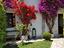 Immagine 6