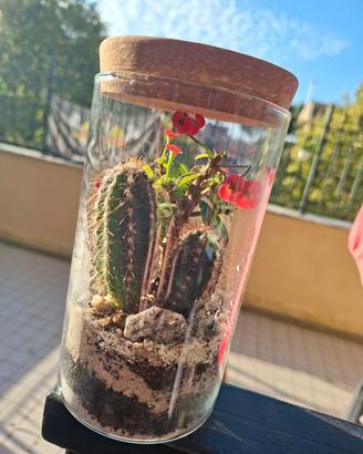 Terrarium piccolo