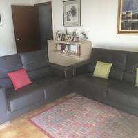 Due divani vintage in vera pelle