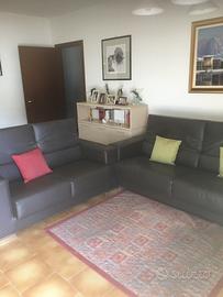 Due divani vintage in vera pelle