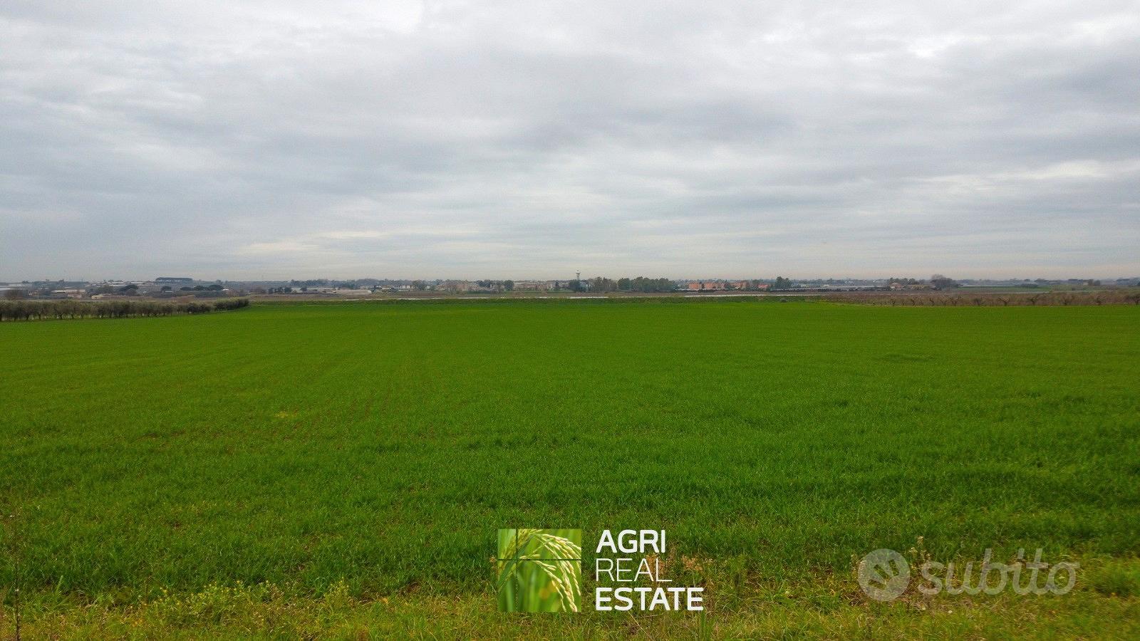 Terreno 7 HA fronte strada con pozzo | TR487 - Vista 5