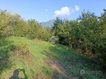 TER. AGRICOLO A SERINO