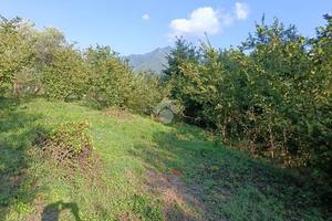 TER. AGRICOLO A SERINO