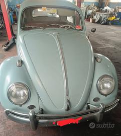 Wolkswagen Maggiolone
