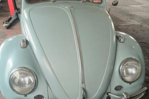 Wolkswagen Maggiolone