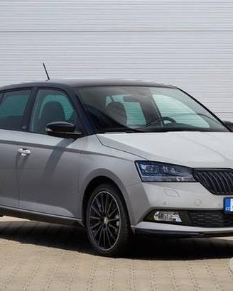 Ricambi usati per skoda fabia