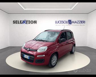 FIAT Panda 3ª serie - Panda 1.2 Easy