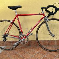 Bici colnago master