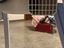 Immagine 6