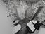 Immagine 11