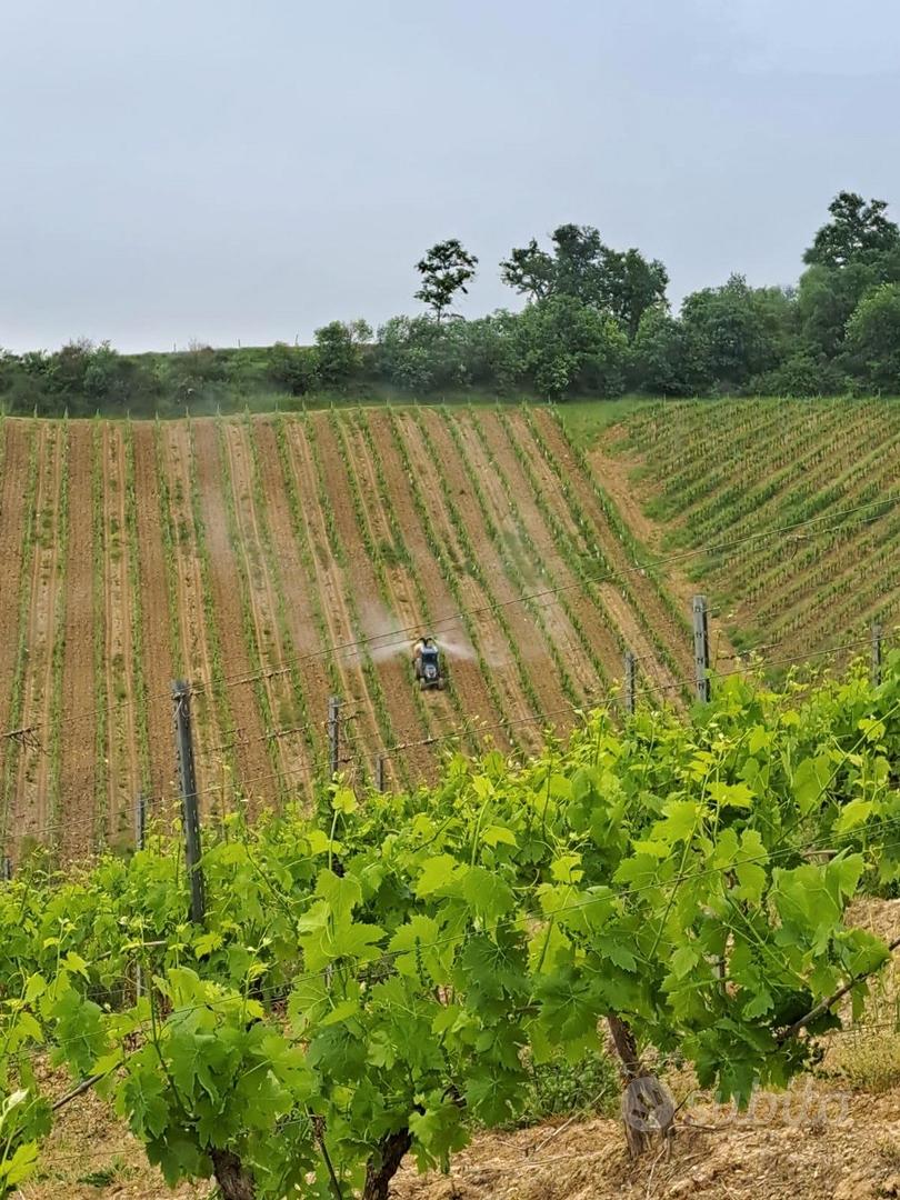 Azienda agricola 20Ha - Vista 4
