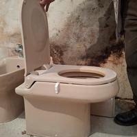 Water rosa Ideal Standard