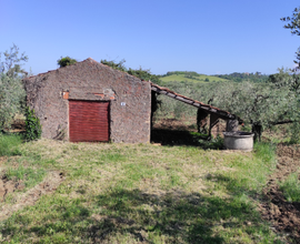 Terreno agricolo con casale