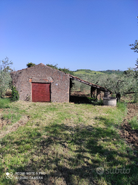 Terreno agricolo con casale