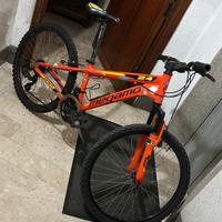 Bici megamo 24