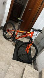 Bici megamo 24