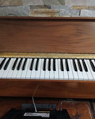 Armonium Elettrico portatile