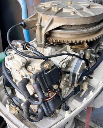 Motore Fuoribordo Johnson 25 