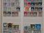 Immagine 6