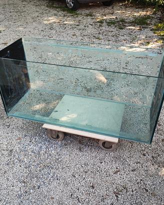 ACQUARIO 300 litri