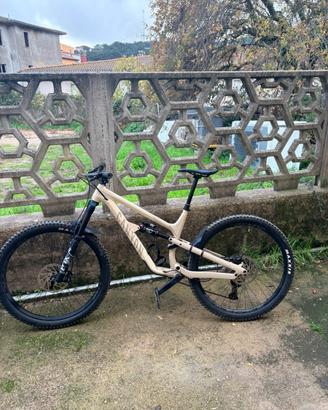 Canyon spectral 2023