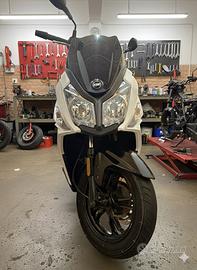 Sym Jet 14 125 - 2019