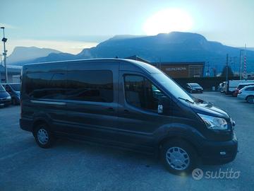 Ford Transit 350 2.0TDCi EcoBlue MHEV 170CV PL-TM 