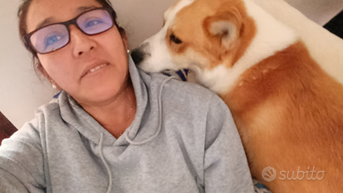 Badante diurna /convivente