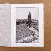 Acquaforte "La vigna di Preella" di Federica Galli