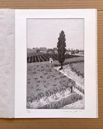 Acquaforte "La vigna di Preella" di Federica Galli