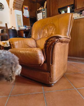 Poltrone e divano