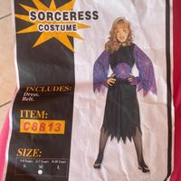 vestito carnevale